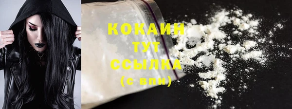 прущие крисы Горняк