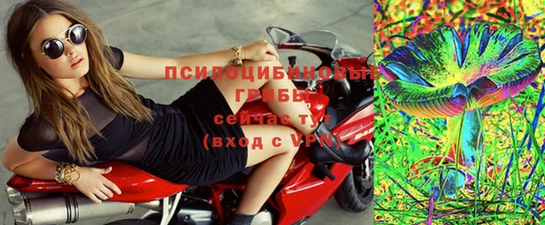 прущая мука Горно-Алтайск