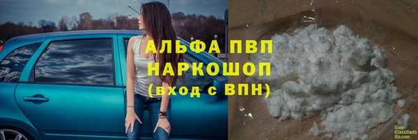 стаф Горнозаводск