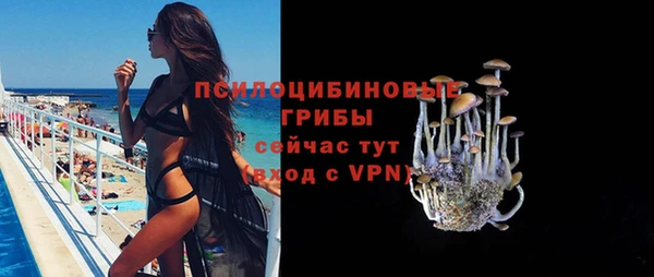 стаф Горнозаводск