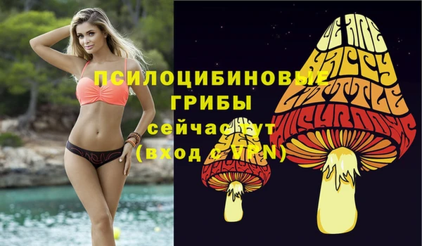прущая мука Горно-Алтайск