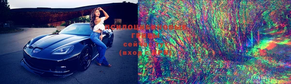 прущие крисы Горняк