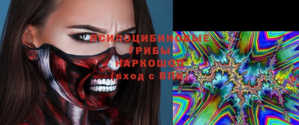 прущие крисы Горняк